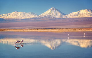 Atacama