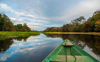 Amazonas