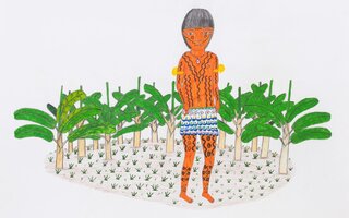 Joseca Yanomami: nossa terra-floresta