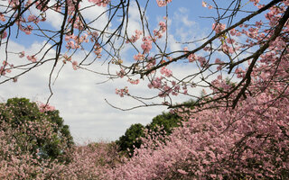 Parque do Carmo