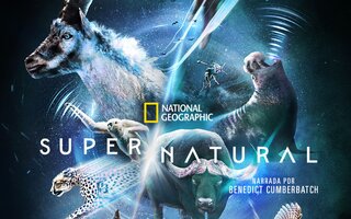 Super/Natural | Disney+