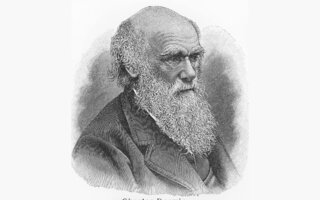 Darwin, o Original