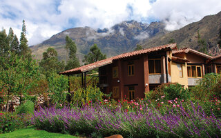 Willka T'ika em Urubamba, Peru