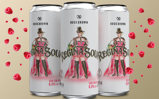 Cerveja Regina Sour Framboesa | Bodebrown