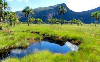 ABRANGE TRÊS BIOMAS DIFERENTES