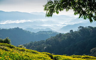 Mae Salong Tea Trail em Mae Salong Nai, Tailândia