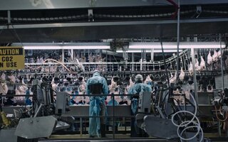 Contaminação: A Verdade Sobre o que Comemos | Netflix