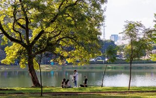 Fazer um piquenique no parque