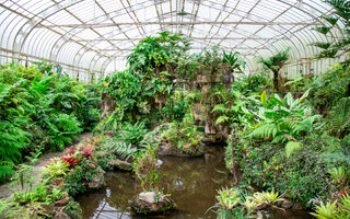 Estufas e bosques do Jardim Botânico