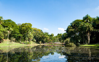 JARDIM BOTÂNICO DE SÃO PAULO