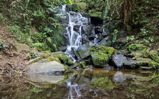 Cachoeira do Núcleo Cabuçu, no Parque Estadual Cantareira