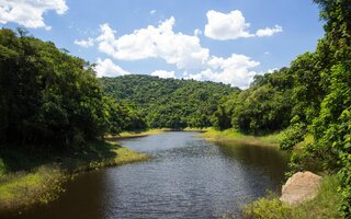 Parque da Cantareira