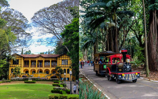 Família no Parque no Parque da Água Branca