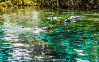 Fevereiro: Bonito, Mato Grosso do Sul