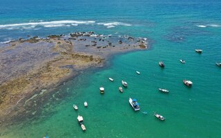 Praia do Forte | Mata de São João, Bahia