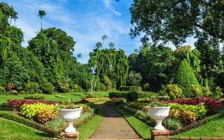 Real Jardim Botânico - Madrid, Espanha