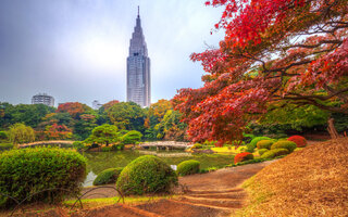 Parque Nacional de Yoyogi - Tóquio, Japão