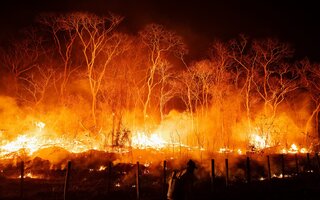 Exposição | Água Pantanal Fogo