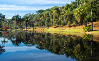 Jardim Botânico de São Paulo