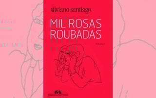 Mil Rosas Roubadas