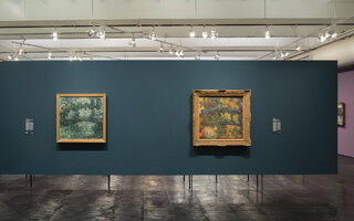 A Ecologia de Monet