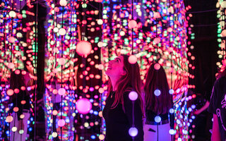 Dopamine Land | Exposição