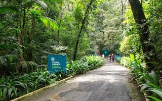 Horto Florestal