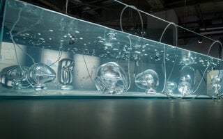 Exposição | Fluxos – O Japão e a Água