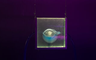 Fluxos – O Japão e a Água