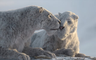 Planeta Pré-histórico: Era do Gelo | Apple TV+