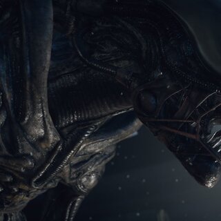 Cinema: 38 anos de “Alien” – relembre todos os filmes da franquia e entenda onde se encaixa cada um