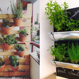 Casa e decoração: Replantando alimentos: 7 ideias de como fazer a sua própria horta em casa