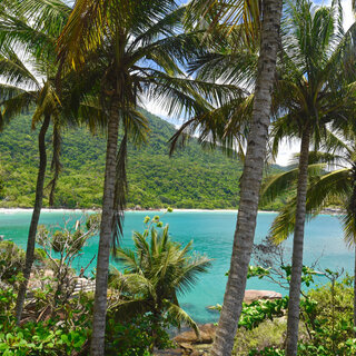 Viagens Nacionais: Conheça Ilha Grande, o paraíso de águas cristalinas no Rio de Janeiro