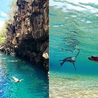 Viagens Internacionais: Conheça Galápagos, paraíso na América do Sul que não precisa de passaporte para visitar 