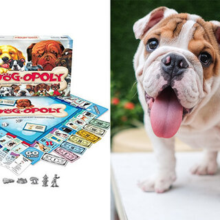 Pet: Conheça o jogo Dog-Opoly, o "banco imobiliário" para quem é apaixonado por cachorros