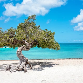 Viagens Internacionais: 10 lugares paradisíacos banhados pelo mar do Caribe que você precisa conhecer