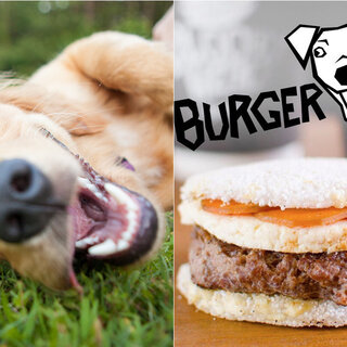 Pet: Hamburgueria em SP inova com lanche especial para cachorro; saiba mais!