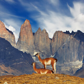 Viagens Internacionais: 10 lugares incríveis para visitar na Patagônia