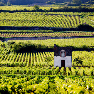 Viagens Internacionais: 10 destinos que todo apaixonado por vinho tem que conhecer