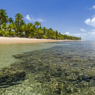 Viagens Nacionais: 10 praias paradisíacas no Brasil que mais parecem piscinas 