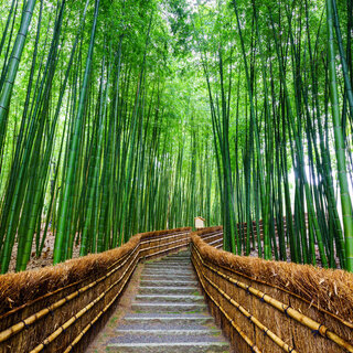 Viagens Internacionais: Conheça Kyoto, a cidade mais instagramável do Japão 