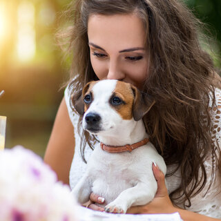 Pet: 10 lugares pet friendly em São Paulo para curtir momentos únicos com seu animal de estimação