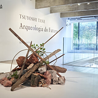 Exposição: Tsuyoshi Tane | Arqueologia do Futuro - Memória & Visão
