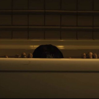 Cinema: O Grito