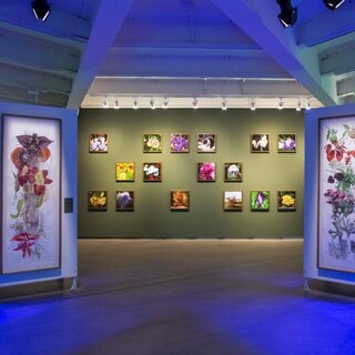 Exposição: 14 exposições imperdíveis em São Paulo em julho de 2022