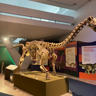 Exposição: Dinossauros: Patagotitan - O Maior do Mundo