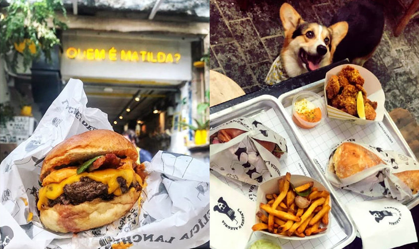 Pet friendly: 18 bares e hamburguerias em SP para dar um rolê com seu  cachorro