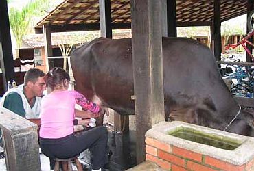 Viagens: Fazenda Campo dos Sonhos