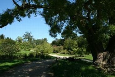 Parque de Coqueiros