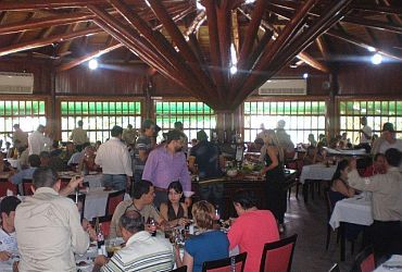 Restaurantes: Bezerro de Ouro